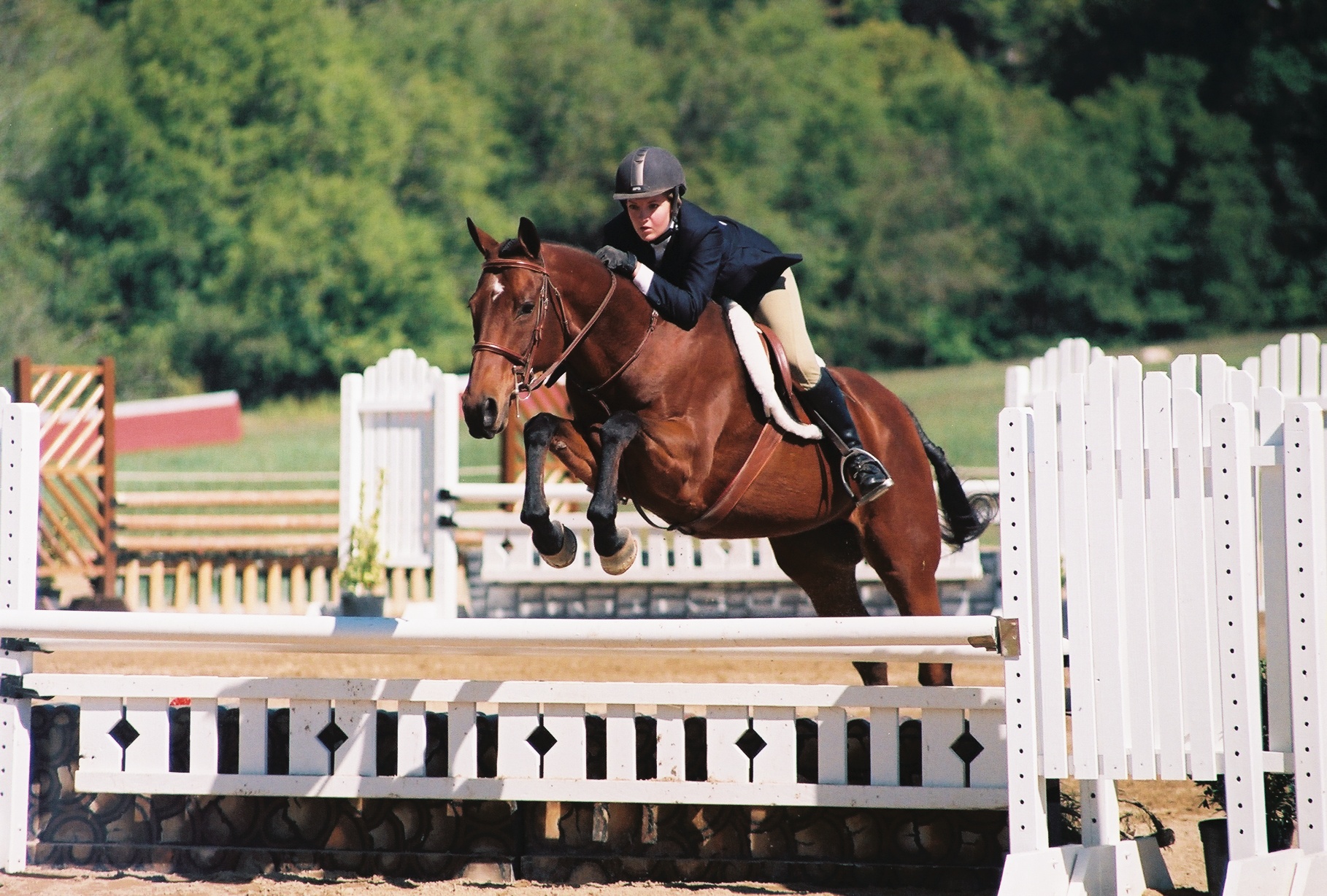 Photo of horse jumping