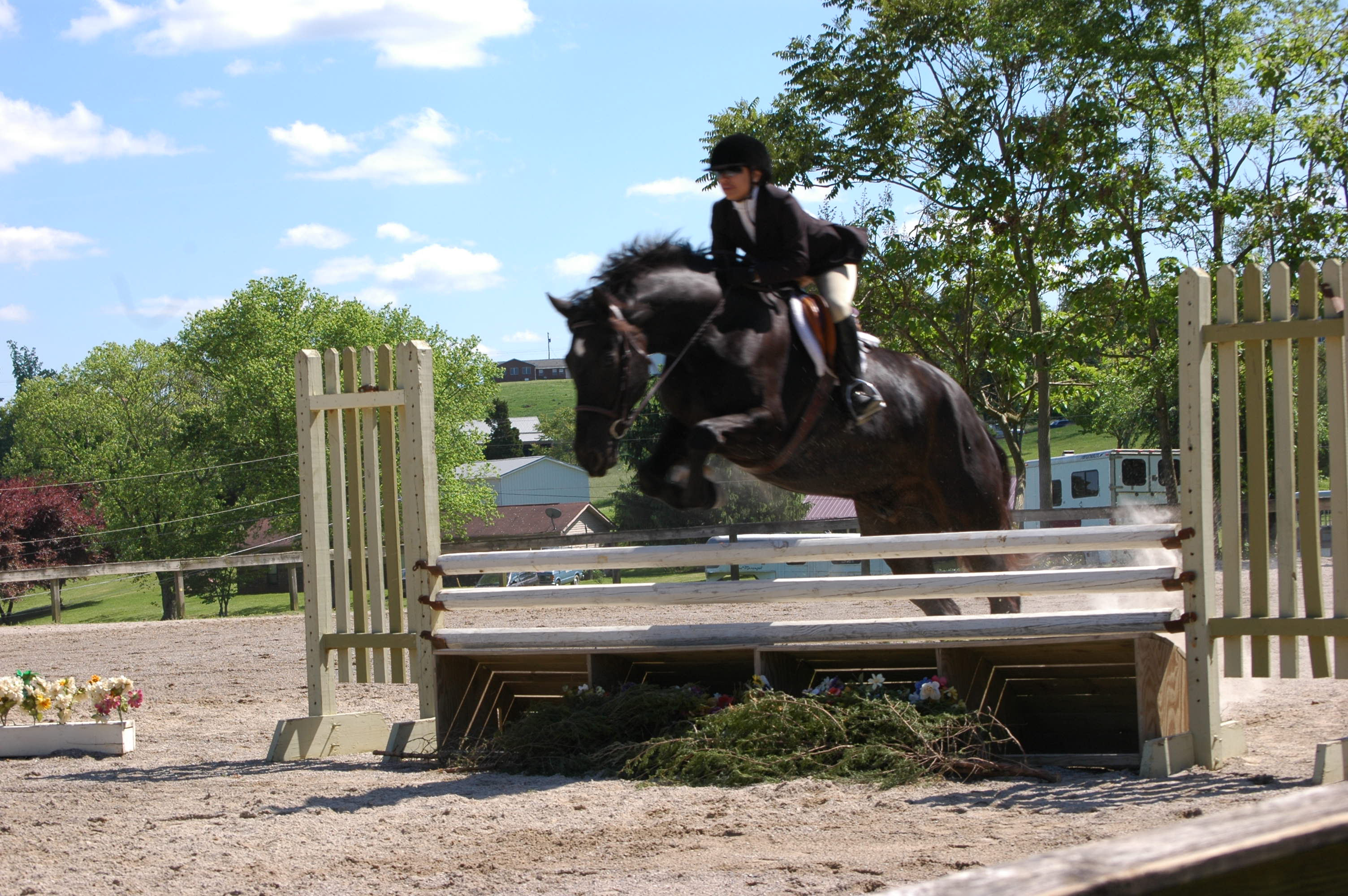 Photo of horse jumping